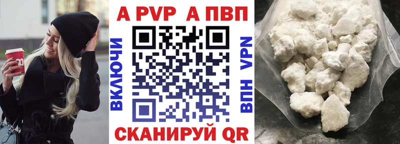 Alfa_PVP СК КРИС Терек