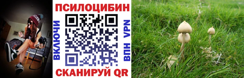 гидра сайт  Терек  Псилоцибиновые грибы GOLDEN TEACHER 